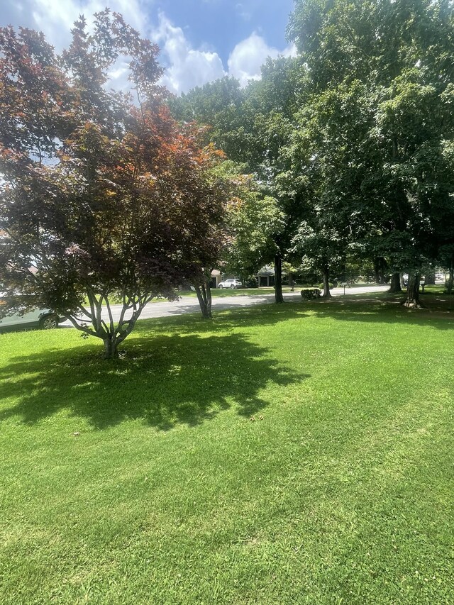 1212 Poplar Dr, Lawrenceburg, TN 38464 - view of green lawn