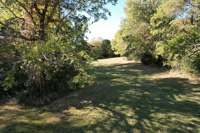 2080 Wilson Pike, Franklin, TN 37067 - photo 6
