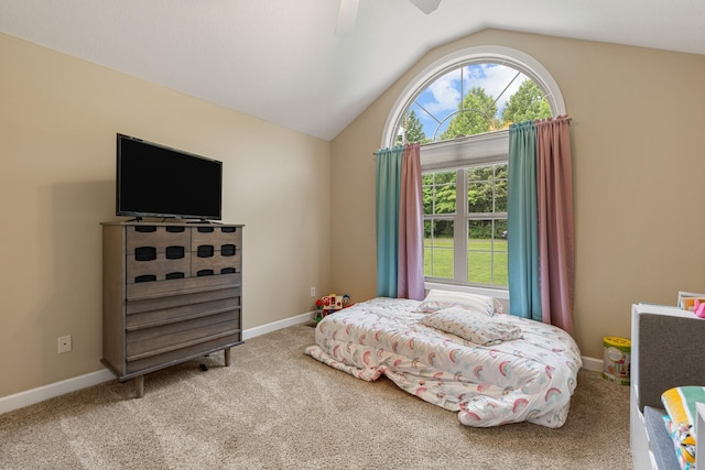 168 Overlook Cir, Tullahoma, TN 37388 - photo 45