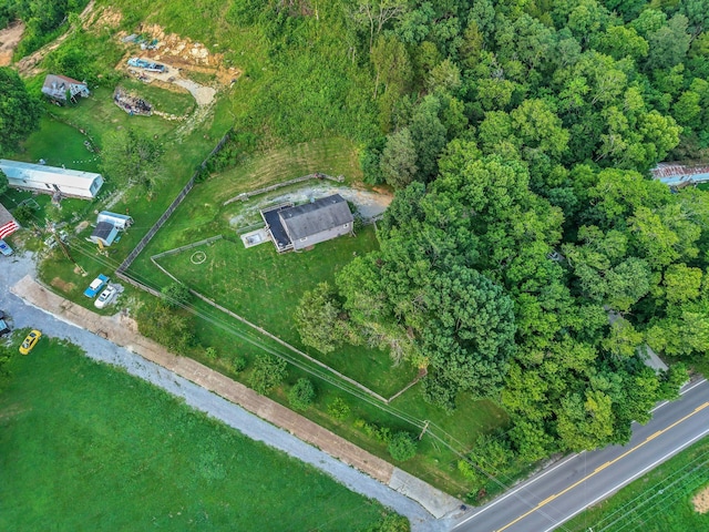 4819 Whites Creek Pike, Whites Creek, TN 37189 - aerial overview of property's location