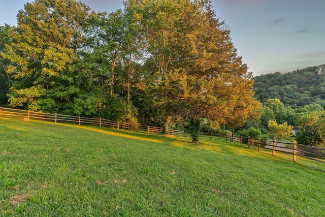 4819 Whites Creek Pike, Whites Creek, TN 37189 - view of yard featuring a rural view and a view of trees