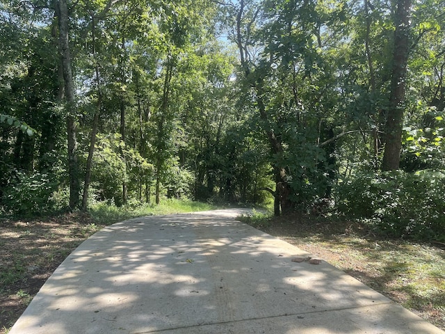 4819 Whites Creek Pike, Whites Creek, TN 37189 - photo 10