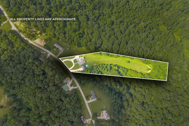 3723 Reed Rd, Indian Mound, TN 37079 - aerial view of property and surrounding area with property boundaries highlighted and a heavily wooded area