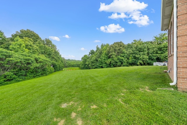3723 Reed Rd, Indian Mound, TN 37079 - view of green lawn with a wooded view