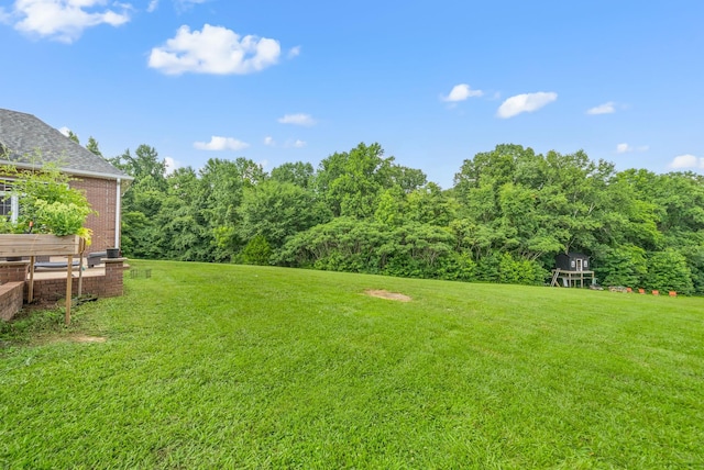 3723 Reed Rd, Indian Mound, TN 37079 - view of grassy yard