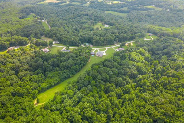 3723 Reed Rd, Indian Mound, TN 37079 - bird's eye view of a forest