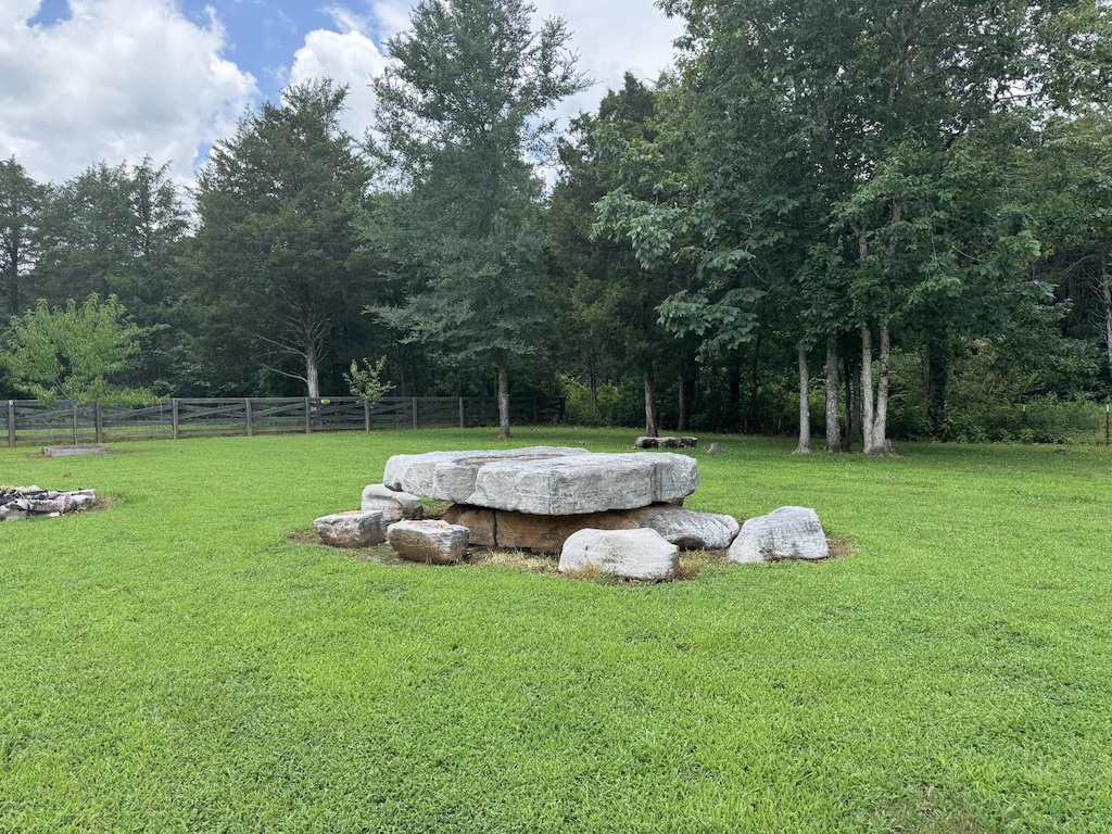 1464 Azalee Ln, Chapel Hill, TN 37034 - view of yard
