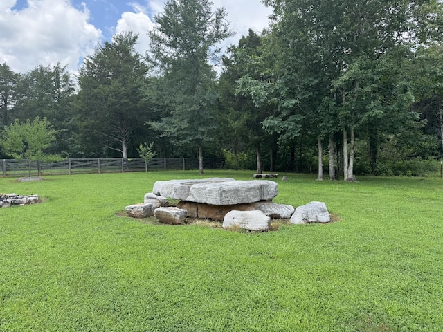 1464 Azalee Ln, Chapel Hill, TN 37034 - view of yard
