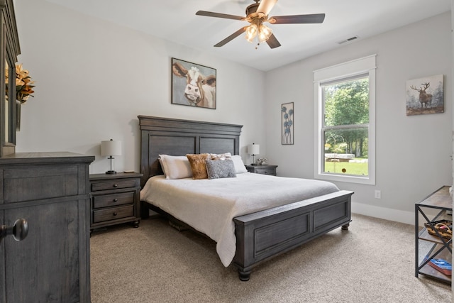 1464 Azalee Ln, Chapel Hill, TN 37034 - photo 36
