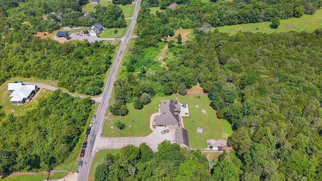 1464 Azalee Ln, Chapel Hill, TN 37034 - photo 72