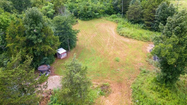1464 Azalee Ln, Chapel Hill, TN 37034 - photo 80