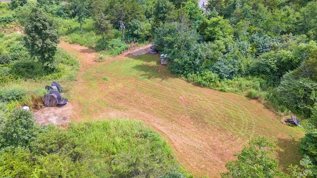 1464 Azalee Ln, Chapel Hill, TN 37034 - photo 79