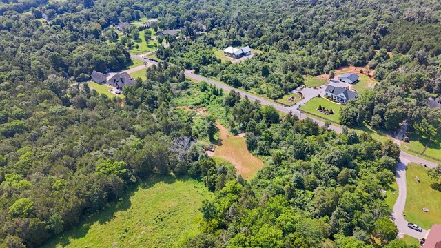 1464 Azalee Ln, Chapel Hill, TN 37034 - photo 74