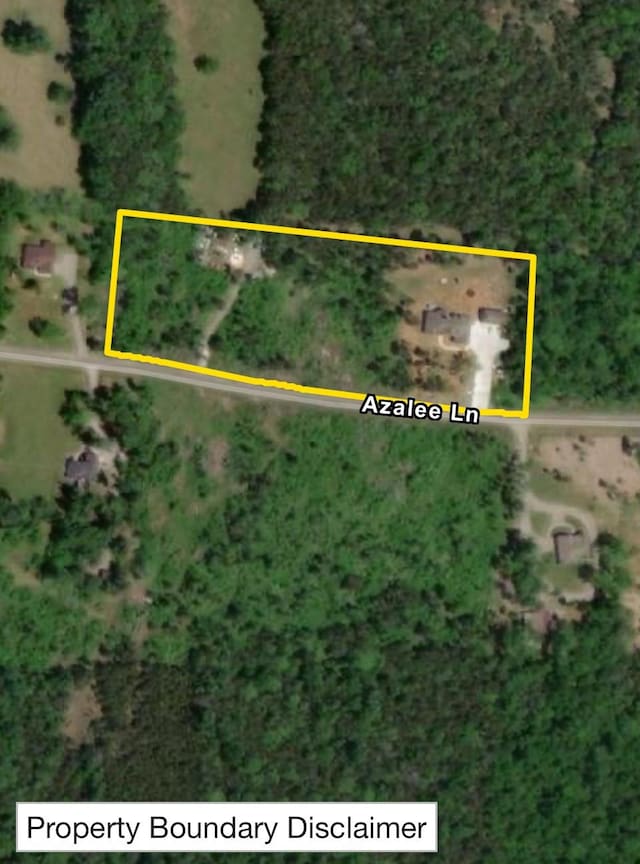 1464 Azalee Ln, Chapel Hill, TN 37034 - photo 81