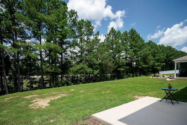 124 Nunally Dr, Baxter, TN 38544 - view of green lawn with a patio