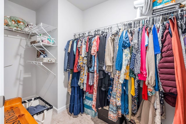 124 Nunally Dr, Baxter, TN 38544 - spacious closet featuring carpet