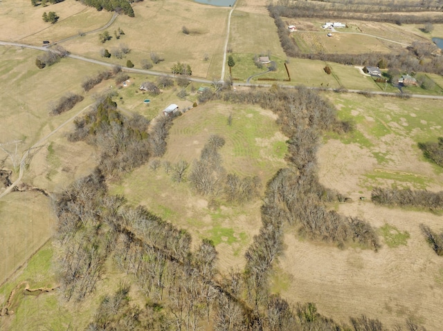 0 Darks Mill Rd, Columbia, TN 38401 - photo 4