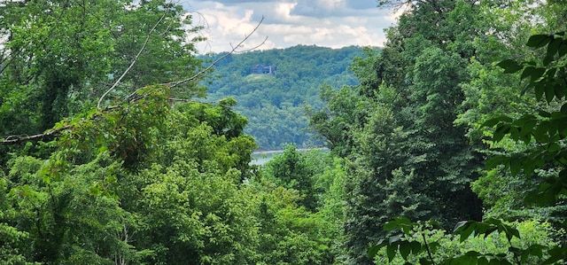 2690 Pucketts Point Rd, Smithville, TN 37166 - photo 23