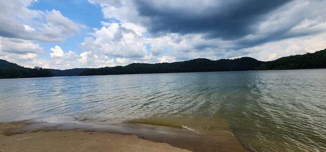 2690 Pucketts Point Rd, Smithville, TN 37166 - photo 24