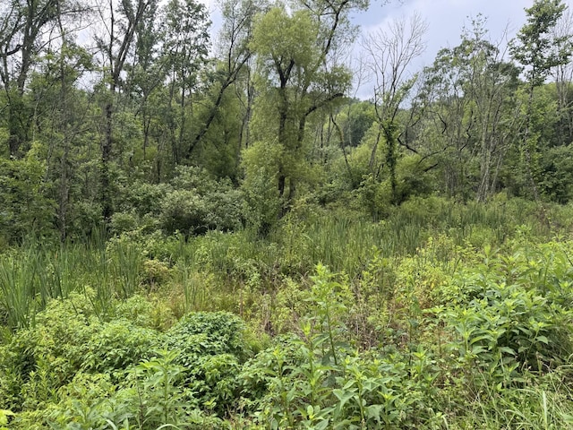 0 Factory Creek Rd, Ethridge, TN 38456