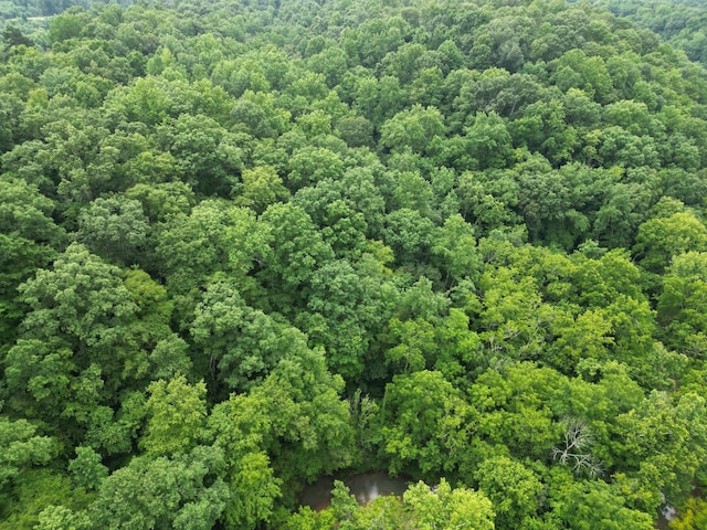 0 Factory Creek Rd, Ethridge, TN 38456
