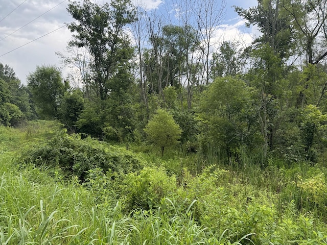 0 Factory Creek Rd, Ethridge, TN 38456