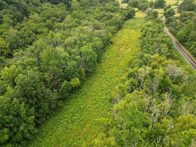0 Factory Creek Rd, Ethridge, TN 38456