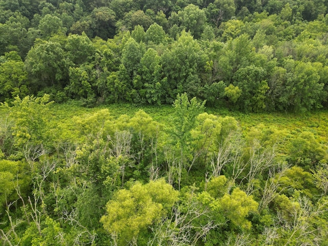0 Factory Creek Rd, Ethridge, TN 38456