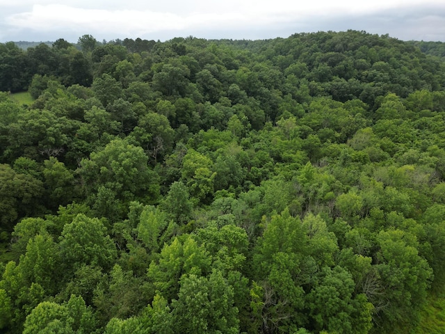 0 Factory Creek Rd, Ethridge, TN 38456