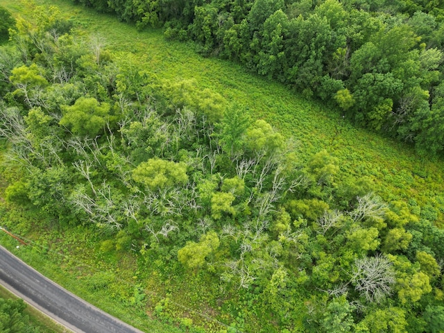 0 Factory Creek Rd, Ethridge, TN 38456