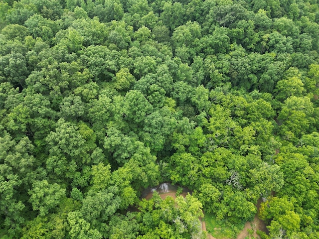 0 Factory Creek Rd, Ethridge, TN 38456