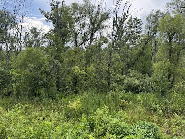 0 Factory Creek Rd, Ethridge, TN 38456
