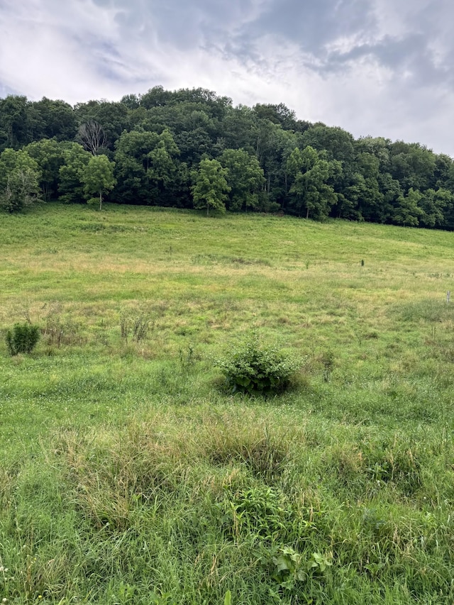 3911 Old Bottom Rd, Lafayette, TN 37083 - view of undeveloped land featuring rural landscape