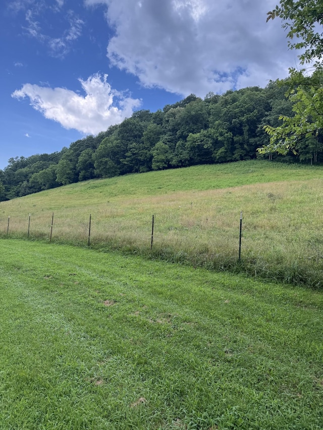 3911 Old Bottom Rd, Lafayette, TN 37083 - view of yard with a rural view and a forest view
