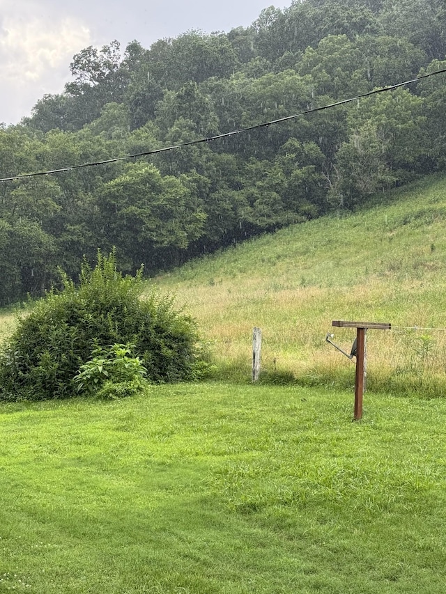 3911 Old Bottom Rd, Lafayette, TN 37083 - view of yard featuring a forest view