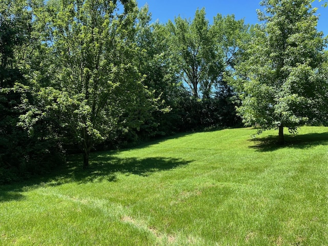 160 Thompson Ln, Paris, TN 38242 - photo 8