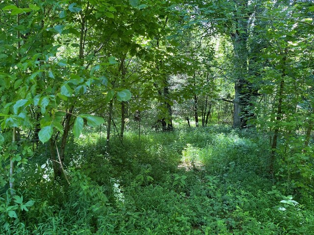 160 Thompson Ln, Paris, TN 38242 - photo 7