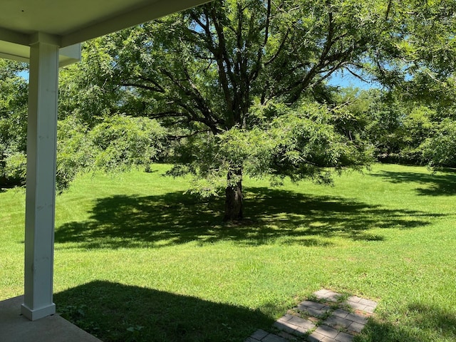 160 Thompson Ln, Paris, TN 38242 - photo 3