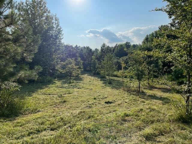 160 Thompson Ln, Paris, TN 38242 - photo 17