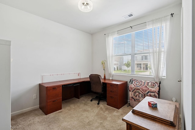 7098 Sunny Parks Dr, White House, TN 37188 - photo 10