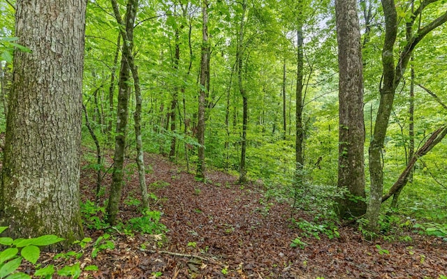 837 Skyline Park Dr, Signal Mountain, TN 37377
