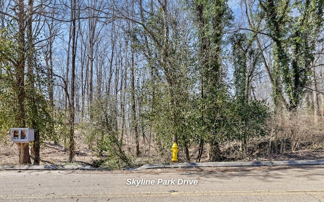 837 Skyline Park Dr, Signal Mountain, TN 37377