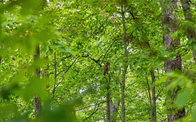 837 Skyline Park Dr, Signal Mountain, TN 37377