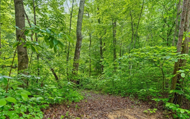 10 Majestic Oaks Dr, Signal Mountain, TN 37377