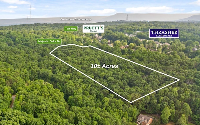 10 Majestic Oaks Dr, Signal Mountain, TN 37377