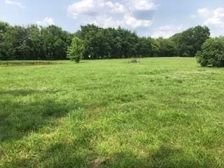 284 Clubbs Rd, Portland, TN 37148 - photo 2