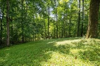 101 Cedar Hill Dr, Waverly, TN 37185 - view of grassy yard featuring a forest view