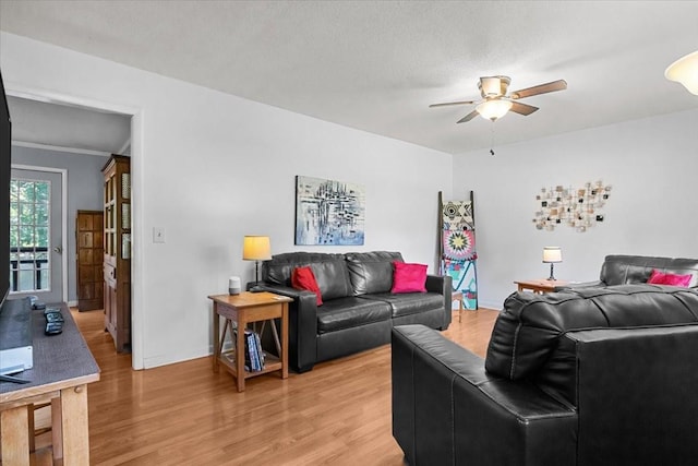 101 Cedar Hill Dr, Waverly, TN 37185 - living room featuring a ceiling fan and light wood-style floors