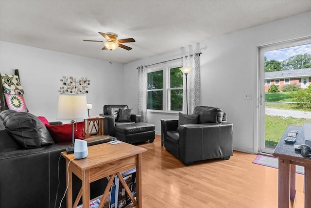 101 Cedar Hill Dr, Waverly, TN 37185 - living room with light wood-type flooring, ceiling fan, and plenty of natural light