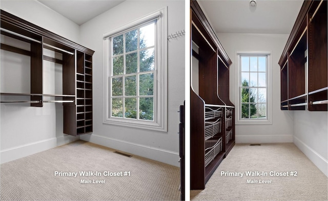 11 Saint Nicholas Way, Signal Mountain, TN 37377 - walk in closet with carpet floors